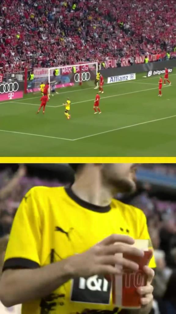 勇者無懼！這是真多特球迷！在拜仁球迷區一個人肆意慶祝！